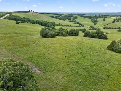 The Pocket Hollow Ranch is a large, contiguous acreage situated - photo 20