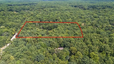 Littles Lake - Lake County Acreage For Sale in Irons Michigan