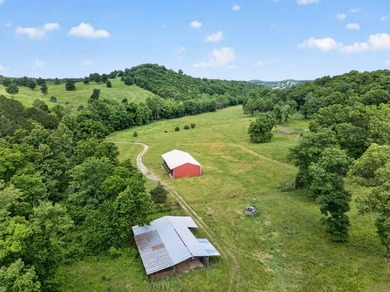 The Pocket Hollow Ranch is a large, contiguous acreage situated - photo 21