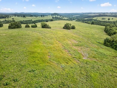 The Pocket Hollow Ranch is a large, contiguous acreage situated - photo 22