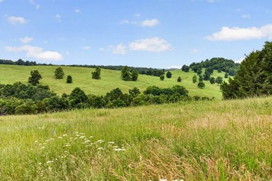 The Pocket Hollow Ranch is a large, contiguous acreage situated - photo 23