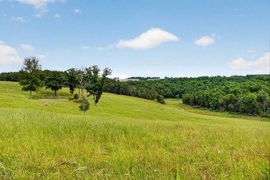 The Pocket Hollow Ranch is a large, contiguous acreage situated - photo 25