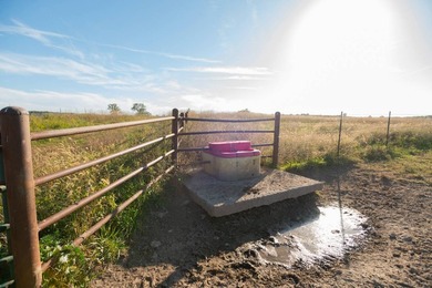 The Pocket Hollow Ranch is a large, contiguous acreage situated - photo 26