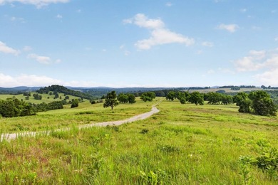 The Pocket Hollow Ranch is a large, contiguous acreage situated - photo 27