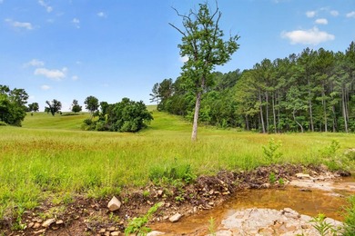 The Pocket Hollow Ranch is a large, contiguous acreage situated - photo 28