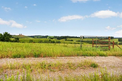 The Pocket Hollow Ranch is a large, contiguous acreage situated - photo 29