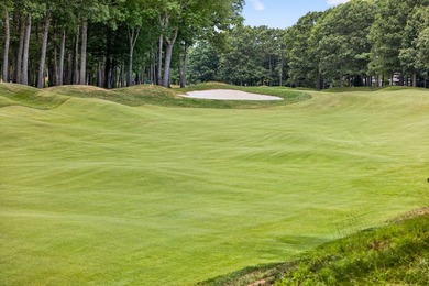 A rare opportunity to own a custom built luxury residence - photo 30