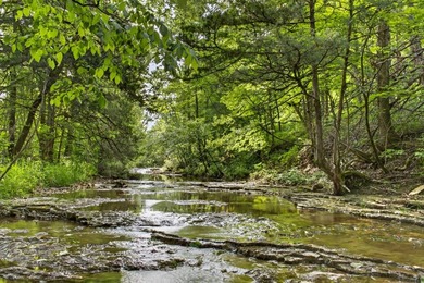 The Pocket Hollow Ranch is a large, contiguous acreage situated - photo 30