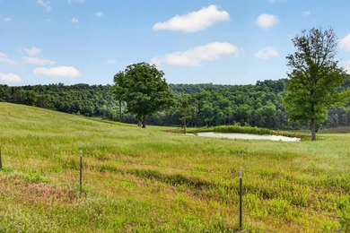 The Pocket Hollow Ranch is a large, contiguous acreage situated - photo 31