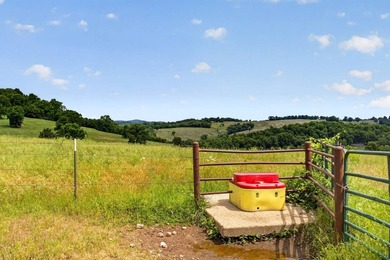 The Pocket Hollow Ranch is a large, contiguous acreage situated - photo 32