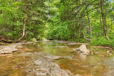 The Pocket Hollow Ranch is a large, contiguous acreage situated - photo 33