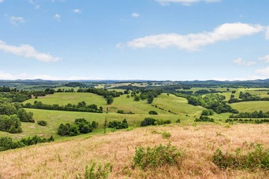 The Pocket Hollow Ranch is a large, contiguous acreage situated - photo 35