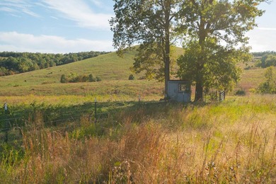 The Pocket Hollow Ranch is a large, contiguous acreage situated - photo 36