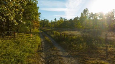 The Pocket Hollow Ranch is a large, contiguous acreage situated - photo 37