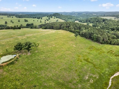The Pocket Hollow Ranch is a large, contiguous acreage situated - photo 39