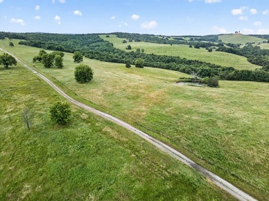 The Pocket Hollow Ranch is a large, contiguous acreage situated - photo 40
