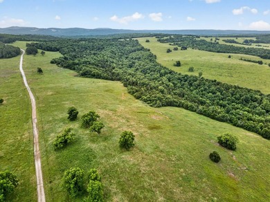 The Pocket Hollow Ranch is a large, contiguous acreage situated - photo 41