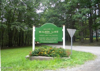 Walker Lake Lot For Sale in Shohola Pennsylvania
