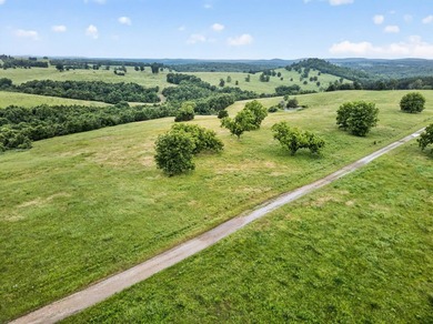 The Pocket Hollow Ranch is a large, contiguous acreage situated - photo 42