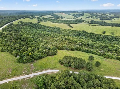 The Pocket Hollow Ranch is a large, contiguous acreage situated - photo 43