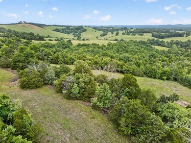 The Pocket Hollow Ranch is a large, contiguous acreage situated - photo 45