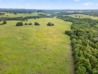 The Pocket Hollow Ranch is a large, contiguous acreage situated - photo 46