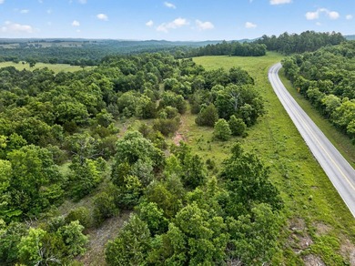 The Pocket Hollow Ranch is a large, contiguous acreage situated - photo 47