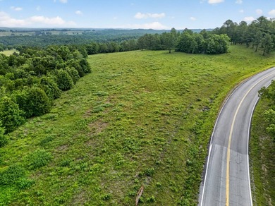 The Pocket Hollow Ranch is a large, contiguous acreage situated - photo 48