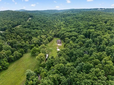 The Pocket Hollow Ranch is a large, contiguous acreage situated - photo 50