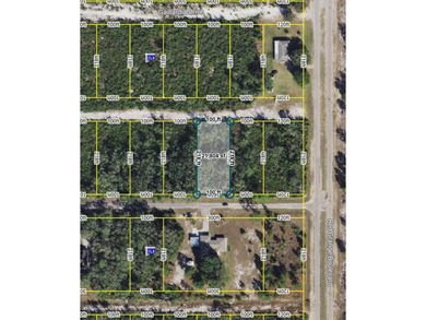 Lake Weohyakapka Lot For Sale in Indian Lake Estates Florida