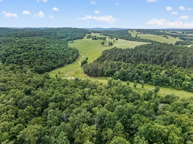 The Pocket Hollow Ranch is a large, contiguous acreage situated - photo 51