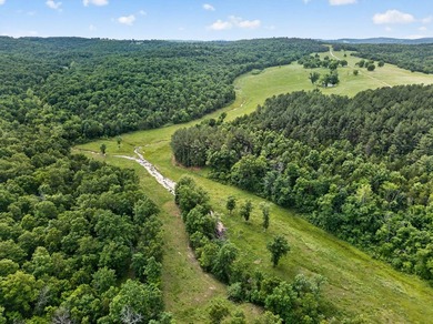 The Pocket Hollow Ranch is a large, contiguous acreage situated - photo 52