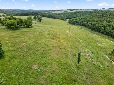 The Pocket Hollow Ranch is a large, contiguous acreage situated - photo 53