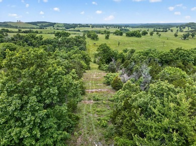 The Pocket Hollow Ranch is a large, contiguous acreage situated - photo 54