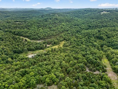 The Pocket Hollow Ranch is a large, contiguous acreage situated - photo 55