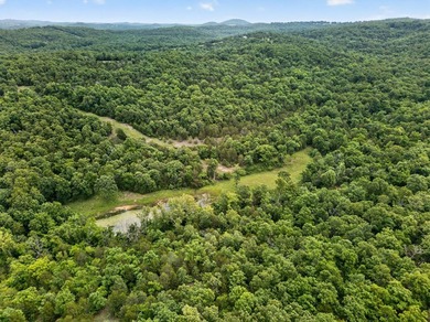 The Pocket Hollow Ranch is a large, contiguous acreage situated - photo 56