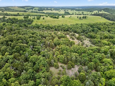 The Pocket Hollow Ranch is a large, contiguous acreage situated - photo 57