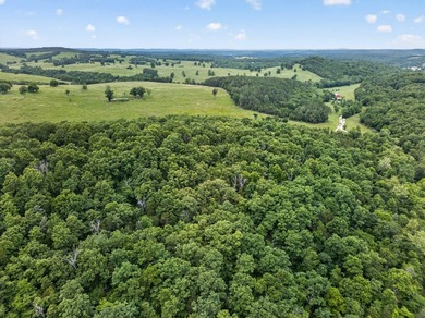 The Pocket Hollow Ranch is a large, contiguous acreage situated - photo 58