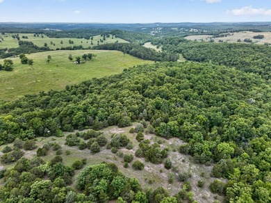 The Pocket Hollow Ranch is a large, contiguous acreage situated - photo 59
