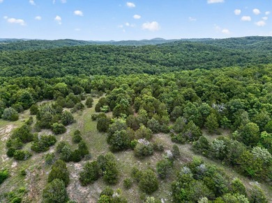 The Pocket Hollow Ranch is a large, contiguous acreage situated - photo 60