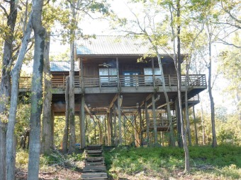 Mississippi River - Claiborne County Home For Sale in Woodville Mississippi