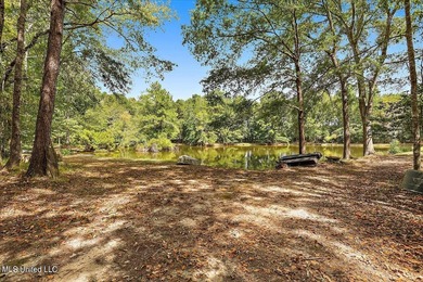 (private lake, pond, coastal) Home Sale Pending in Raleigh Mississippi