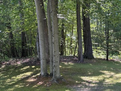 Kimball Lake - Newaygo County Acreage For Sale in Newaygo Michigan