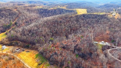 (private lake, pond, creek) Acreage For Sale in Pedro Ohio