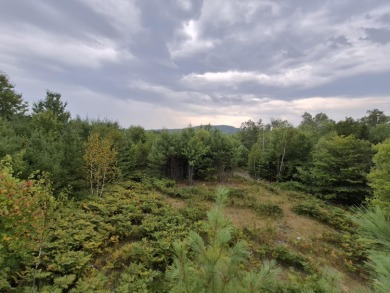 (private lake, pond, creek) Acreage For Sale in Hanover Maine