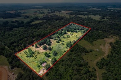 This 15.100 acre property is a mix of wooded areas and open - Lake Acreage For Sale in Winnsboro, Texas
