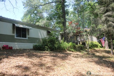 Lake Home Sale Pending in Newaygo, Michigan