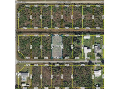 Lake Weohyakapka Lot For Sale in Indian Lake Estates Florida