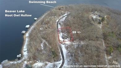 Beaver Lake Home For Sale in Garfield Arkansas