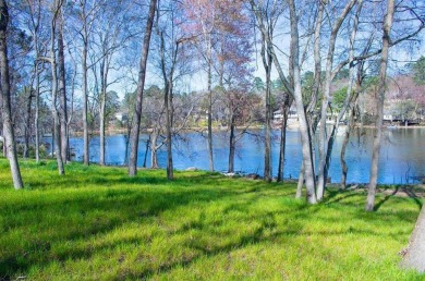 Lake Lot For Sale in Hideaway, Texas